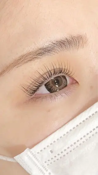 マツエク・マツパ Lily (リリー) 🔰下坂のマツエク・マツパデザイン