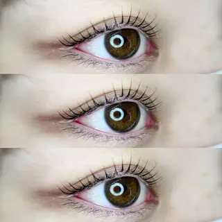 マツエク・マツパ arce -ｱﾙｾ- 🔅ヒマワリのマツエク・マツパデザイン