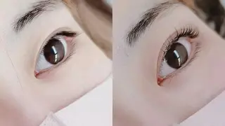 マツエク・マツパ 胡蝶蘭レディースサロ ン眉マツパエクステの眉毛・アイブロウイメージ
