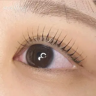 マツエク・マツパ シードリン 府内店 杉田のマツエク・マツパデザイン