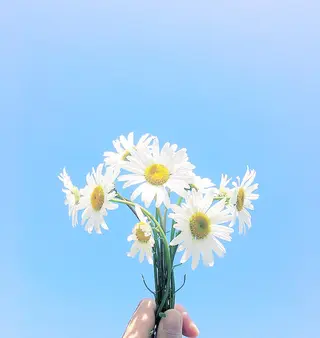 otsurunail (オツルネイル)のネイルデザイン