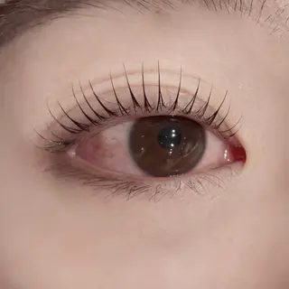 マツエク・マツパ Koti sakai mayuのマツエク・マツパデザイン