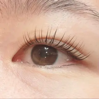 マツエク・マツパ Anela 🦋HARUMIの眉毛・アイブロウイメージ