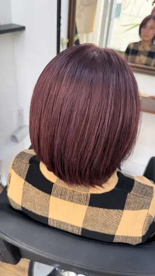 ショート カラー 椎葉 祐也のヘアスタイル