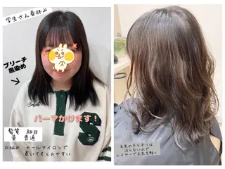 セミロング あやかショート 白髪ぼかしのヘアスタイル