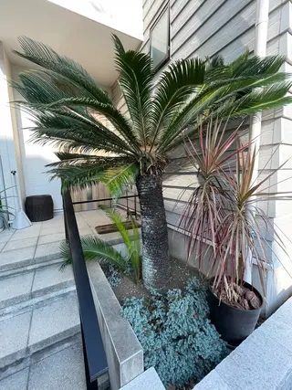 シミケア専科 Babyfaceのエステ・リラクイメージ