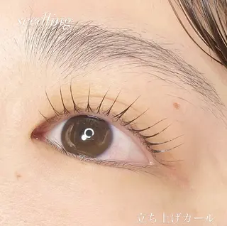 マツエク・マツパ シードリン 府内店 杉田のマツエク・マツパデザイン