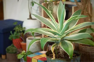 ヘッドスパサロン🫧 ハヤシのヘアスタイル