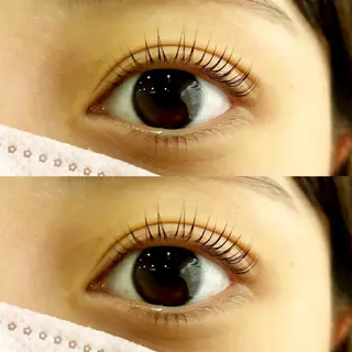 マツエク・マツパ Lien 川崎店【リアン】所属・LUANATOKYO 🫧武蔵小杉のマツエク・マツパデザイン