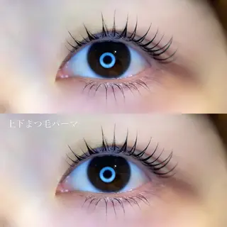 マツエク・マツパ arce -ｱﾙｾ- 🔅ヒマワリのマツエク・マツパデザイン