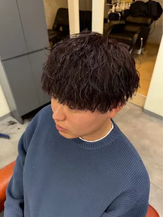 ショート カラー パーマ メンズ メンズ/パーマ/ 京都駅/井上光のヘアスタイル