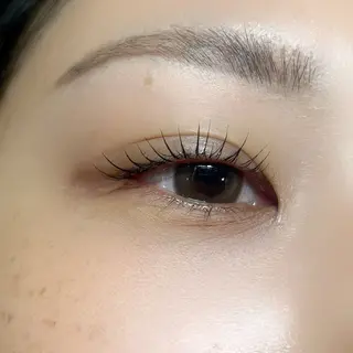 マツエク・マツパ 🌸アイリスト fujiwara🌸のマツエク・マツパデザイン