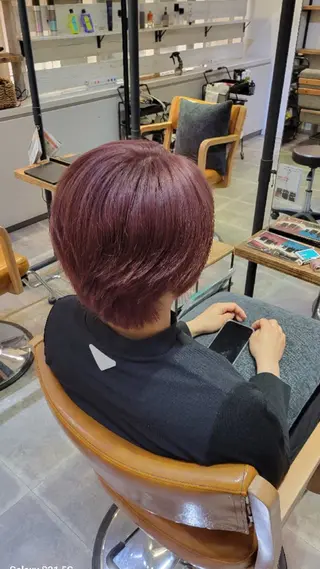 ショート カラー シェル🦋 【韓国風】のヘアスタイル