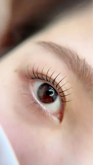 マツエク・マツパ Maile leaf 【マイレリーフ】のマツエク・マツパデザイン