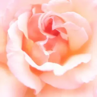 ピ・ブラン REIのエステ・リラクイメージ