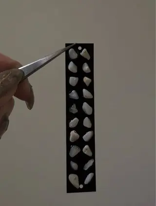 ð
ð¢ð¢ãæ¬çº/ ãã€ã«ãMihoðã®ãã®ä»ã€ã¡ãŒãž