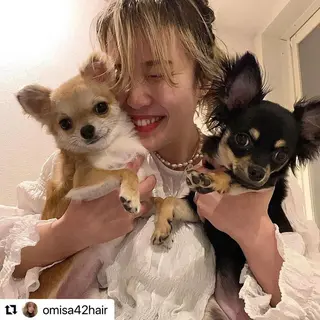 ミディアム カラー メンズ 🩷Eny terrace🩷のヘアスタイル