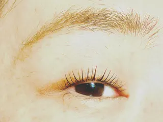 パーマ 和田 真弥の眉毛・アイブロウイメージ