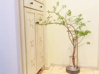 若菜菜奈 本気の肌質改善 上島のエステ・リラクイメージ