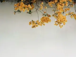 マツエク・マツパ 浦和駅近完全個室 Michikoのマツエク・マツパデザイン