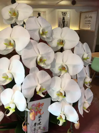 古川 真弓のエステ・リラクイメージ