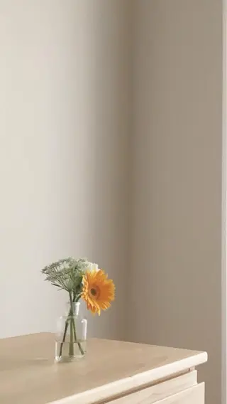 5月から鶴ケ峰 yuri🌷のマツエク・マツパデザイン