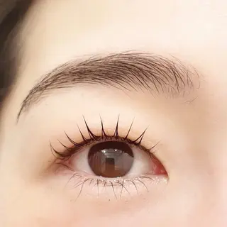 マツエク・マツパ Holly  Bio KIKOの眉毛・アイブロウイメージ