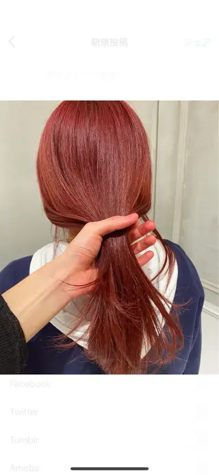 セミロング 【赤坂】髪質改善✨ 矢口嵩人のヘアスタイル