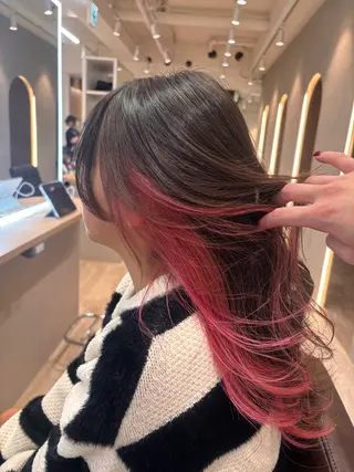 ロング 奈良夏菜/レイヤー /バレイヤージュのヘアスタイル