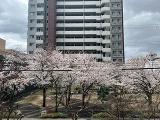 紙屋 隼人のヘアスタイル