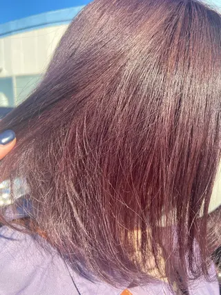 ショート カラー ハラダ ヒナミのヘアスタイル
