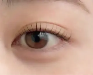 マツエク・マツパ ❁Noa‪‪❁ 長谷川明音の眉毛・アイブロウイメージ