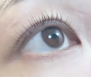 マツエク・マツパ sii. eyelashのマツエク・マツパデザイン