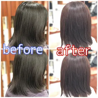 ミディアム 志賀 大倫のヘアスタイル