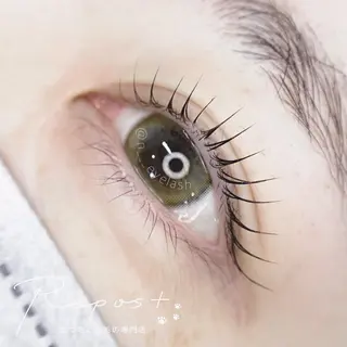 マツエク・マツパ Repos＋🐾 nami.のマツエク・マツパデザイン