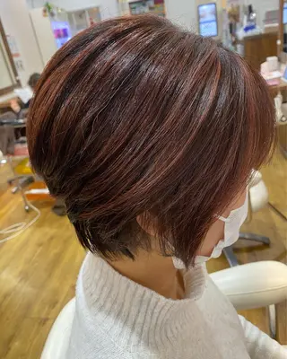 ショート 若林 亜季のヘアスタイル