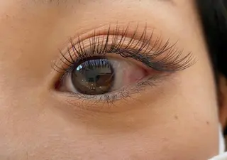 マツエク・マツパ Anela 🦋HARUMIの眉毛・アイブロウイメージ