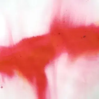 ショート カラー ☆RUO☆/レイヤー /ハイトーンのヘアスタイル