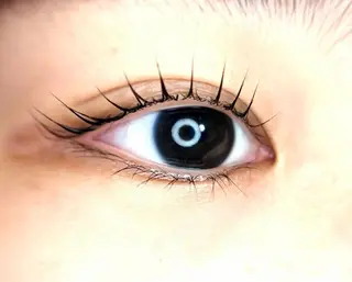 マツエク・マツパ Lash Lift ＷAＶＥ所属・Lash Lift WAVE🩵の眉毛・アイブロウイメージ