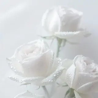 マツエク・マツパ Bianca新宿 🩵ISHIKAWAのマツエク・マツパデザイン