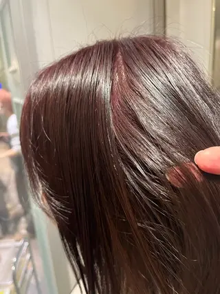 セミロング 谷口 鈴音のヘアスタイル