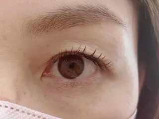マツエク・マツパ eyelash momoのマツエク・マツパデザイン