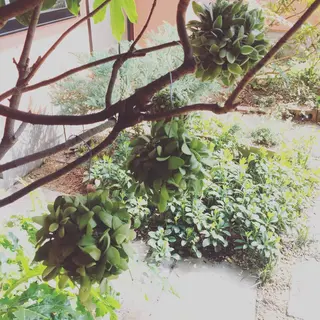 miya norikoの眉毛・アイブロウイメージ