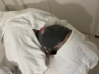 鳳北町 森田はるかのエステ・リラクイメージ