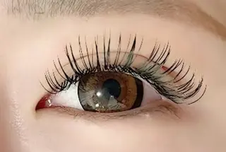 マツエク・マツパ Roy 心斎橋 植田のマツエク・マツパデザイン