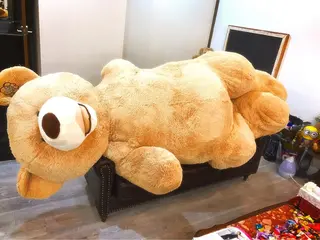 ショート テディ teddyのヘアスタイル