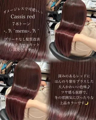 ロング カラー 透明感カラー🩰🤍 髪質改善🪄/伽音のヘアスタイル