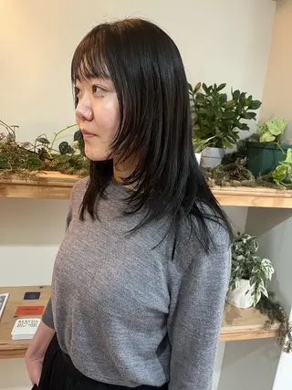 セミロング 野口 凌のヘアスタイル
