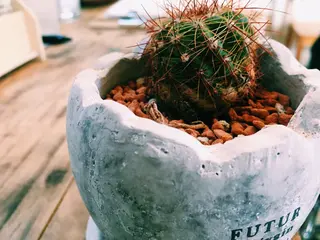 マツエク・マツパ 中川 朋美のマツエク・マツパデザイン