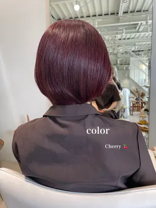 ショート カラー 峯崎 葵のヘアスタイル